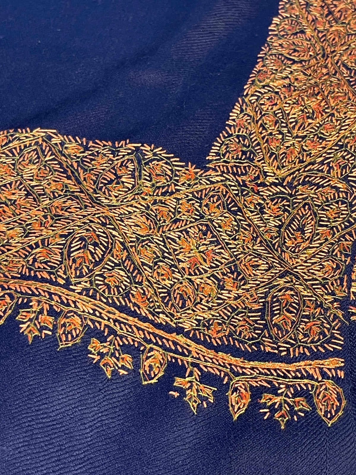Pashmina Shawl with Elegant Embroidered Border